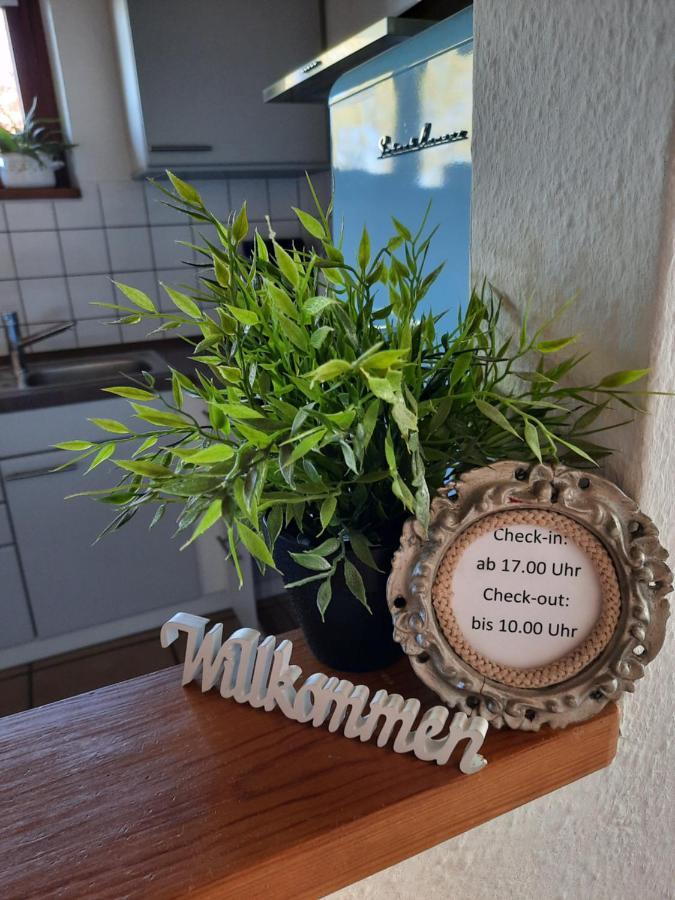 Schoene Einzimmer Wohnung Zwischen Bodensee Und Allgaeu Neukirch  Luaran gambar