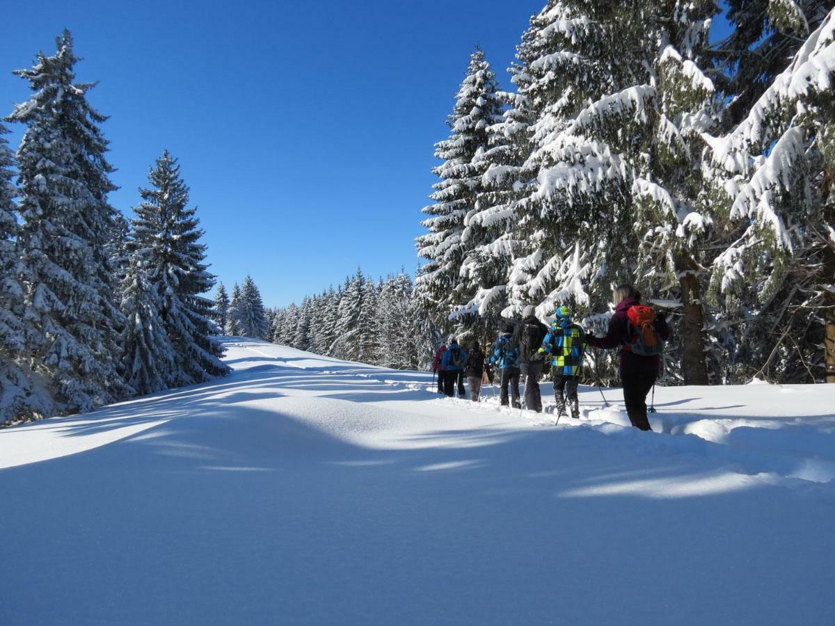 Schoene Einzimmer Wohnung Zwischen Bodensee Und Allgaeu Neukirch  Luaran gambar
